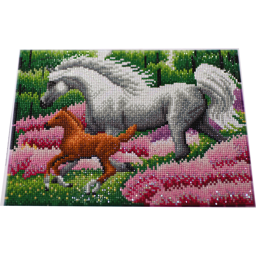 Horse and Foal Diamond Painting Kit – Full Drill Floral Nature Art JM3025