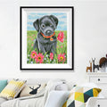 Black Lab Puppy in Flower Field Diamond Painting Kit – Labrador with Red Collar Among Pink Gerberas & Blue Sky JX156