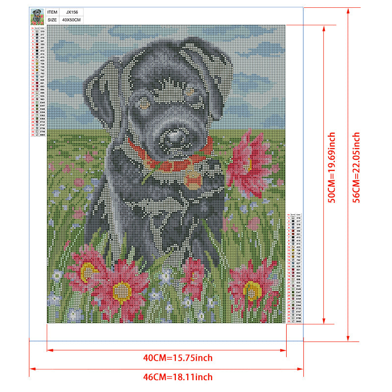 Black Lab Puppy in Flower Field Diamond Painting Kit – Labrador with Red Collar Among Pink Gerberas & Blue Sky JX156